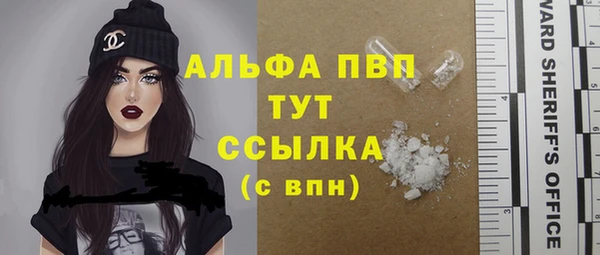 индика Балахна