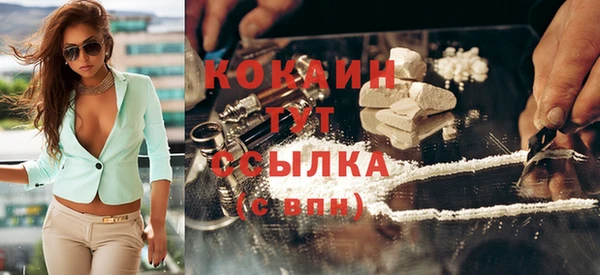 индика Балахна