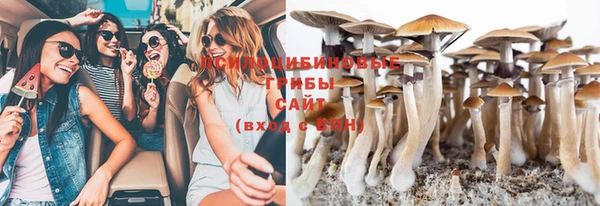 индика Балахна