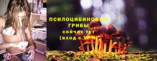 индика Балахна