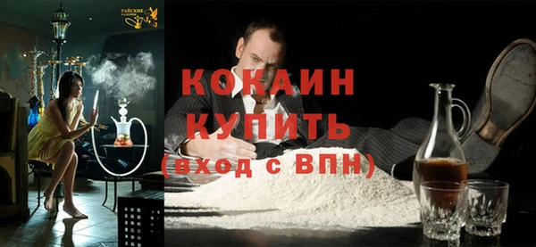индика Балахна