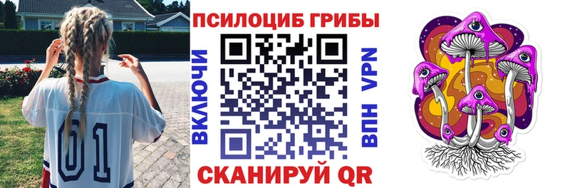 где найти наркотики  Долгопрудный  мега рабочий сайт  Галлюциногенные грибы Psilocybe 
