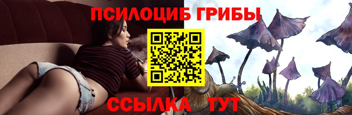 Галлюциногенные грибы GOLDEN TEACHER  Вход с VPN  где продают   Долгопрудный 