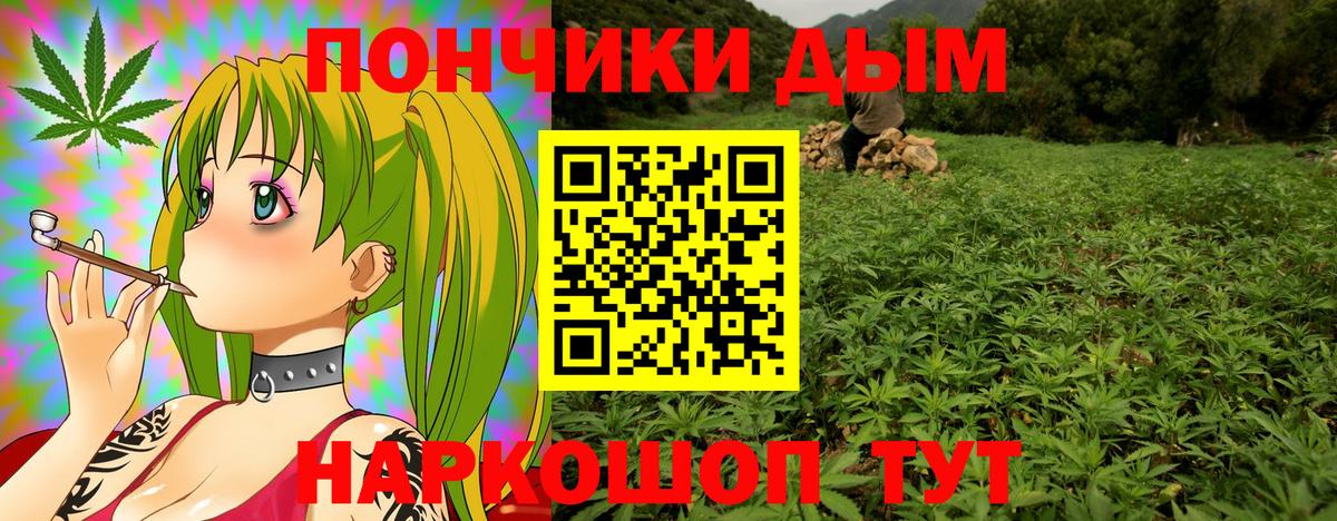 Конопля план  Бошки марихуана ГИДРОПОН  Долгопрудный  Вход с VPN 
